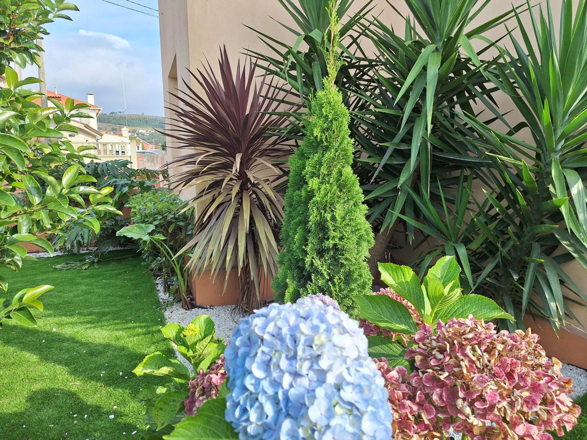 Apartamentos Costa Xuno بورتو دو سون المظهر الخارجي الصورة